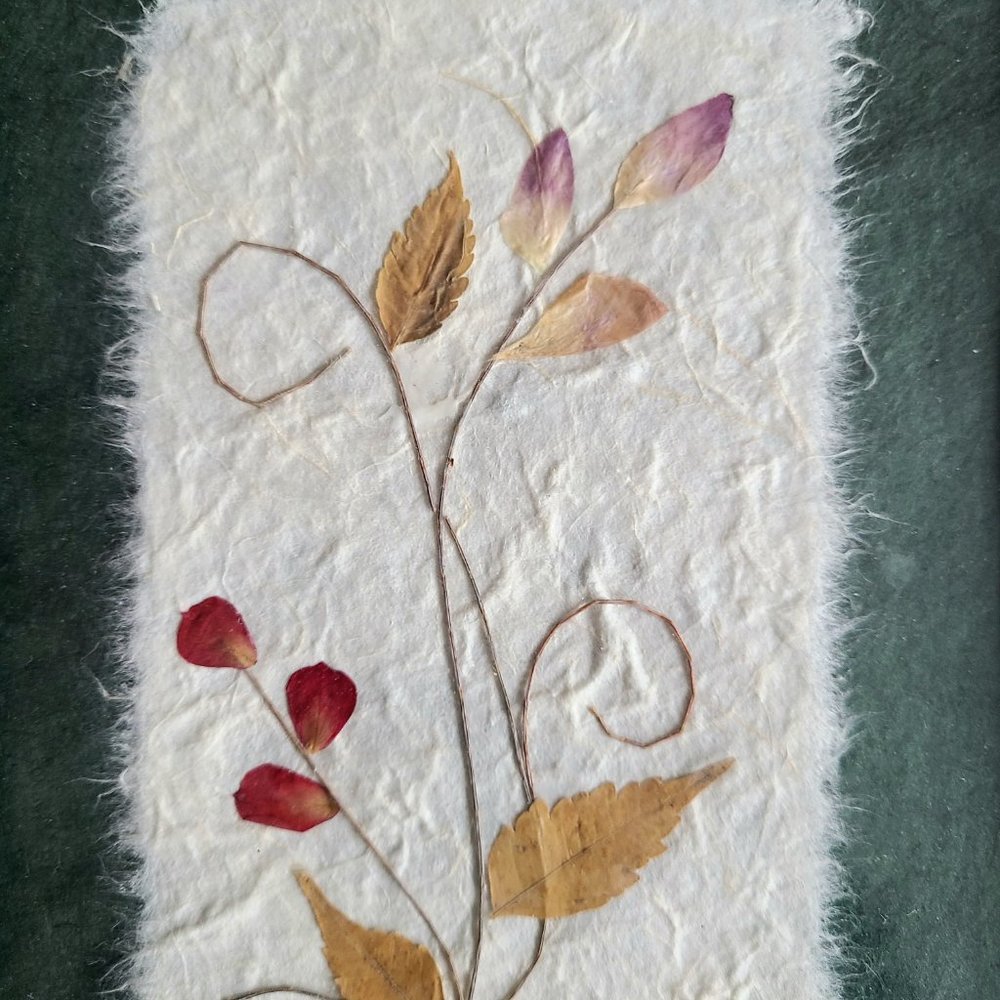 Framed pressed dry flowers. - Picture 3 of 4